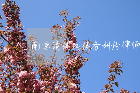 南京请债权债务纠纷律师 南京请债权债务纠纷律师