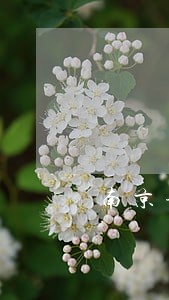 南京请婚姻律师 南京请婚姻律师