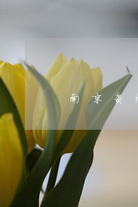 南京资深刑事辩护律师费用 南京资深刑事辩护律师费用
