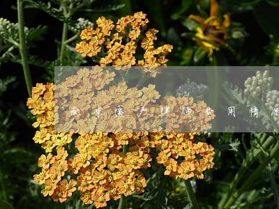 南京遗产律师费用情况 南京遗产律师费用情况