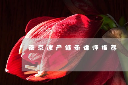 南京遗产继承律师推荐 南京遗产继承律师推荐
