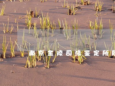 南京金陵司法鉴定所殷雯婷 南京金陵司法鉴定所殷雯婷