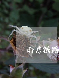 南京铁路运输法院严建民李彬 南京铁路运输法院严建民李彬