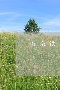 南京铁道法院审理范围 南京铁道法院审理范围