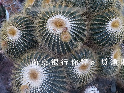 南京银行你好e贷逾期