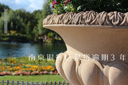南京银行信易贷逾期3年 南京银行信易贷逾期3年
