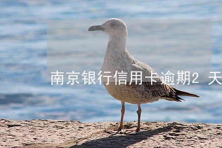 南京银行信用卡逾期2天 南京银行信用卡逾期2天