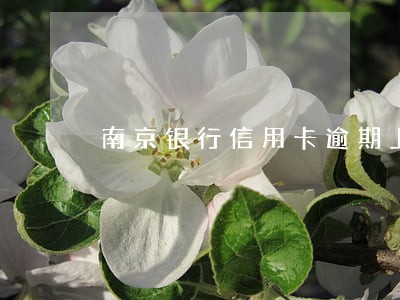 南京银行信用卡逾期上征信吗 南京银行信用卡逾期上征信吗