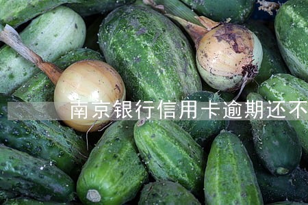 南京银行信用卡逾期还不清 南京银行信用卡逾期还不清