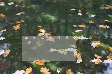 南京银行信用贷逾期一万 南京银行信用贷逾期一万