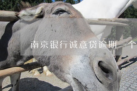 南京银行诚意贷逾期一个月了 南京银行诚意贷逾期一个月了