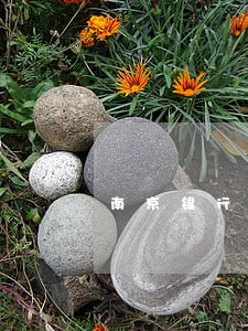 南京银行诚易贷逾期15天 南京银行诚易贷逾期15天