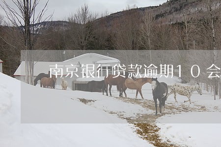 南京银行贷款逾期10会怎样 南京银行贷款逾期10会怎样