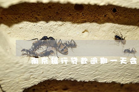 南京银行贷款逾期一天会怎么样 南京银行贷款逾期一天会怎么样