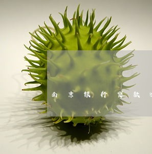 南京银行贷款逾期了会怎样 南京银行贷款逾期了会怎样