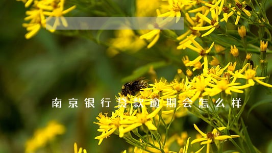 南京银行贷款逾期会怎么样 南京银行贷款逾期会怎么样
