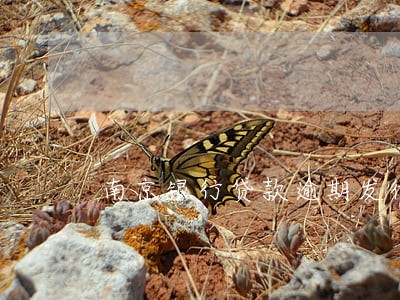 南京银行贷款逾期发律师函 南京银行贷款逾期发律师函