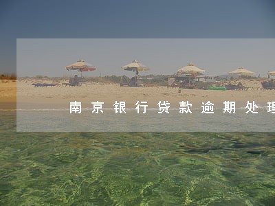 南京银行贷款逾期处理流程