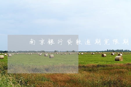南京银行贷款逾期宽限期 南京银行贷款逾期宽限期