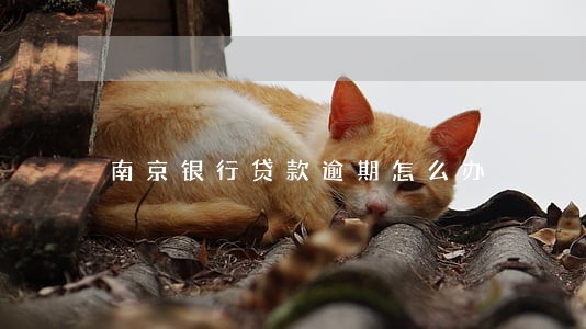 南京银行贷款逾期怎么办 南京银行贷款逾期怎么办