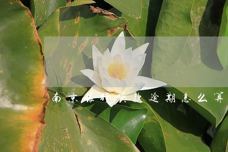 南京银行贷款逾期怎么算 南京银行贷款逾期怎么算