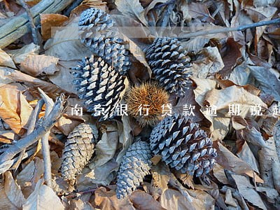 南京银行贷款逾期说起诉我 南京银行贷款逾期说起诉我