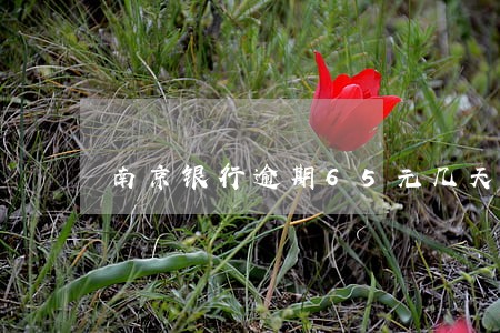 南京银行逾期65元几天上征信