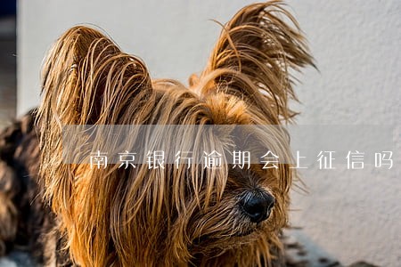 南京银行逾期会上征信吗 南京银行逾期会上征信吗