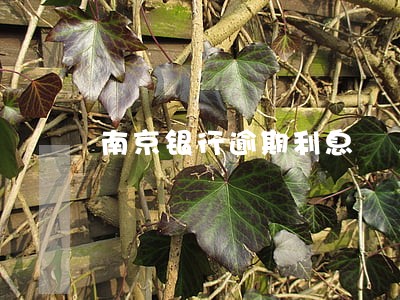 南京银行逾期利息