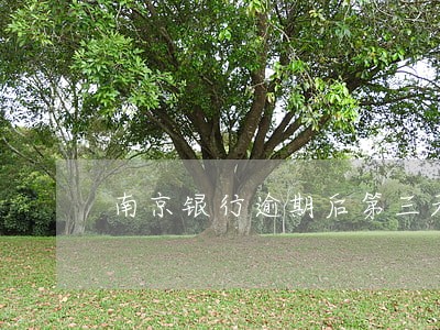 南京银行逾期后第三天 南京银行逾期后第三天
