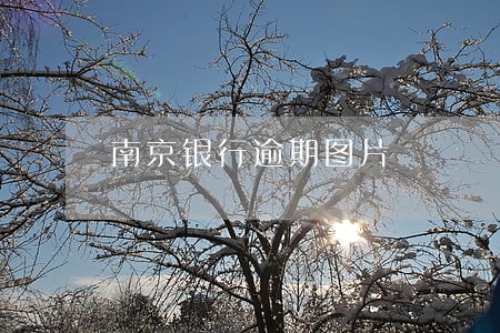 南京银行逾期图片 南京银行逾期图片