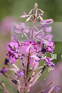 南京银行逾期多久会外访 南京银行逾期多久会外访