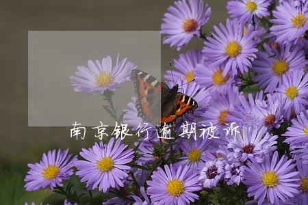 南京银行逾期被诉