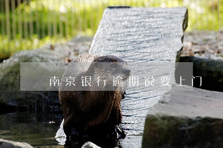南京银行逾期说要上门 南京银行逾期说要上门