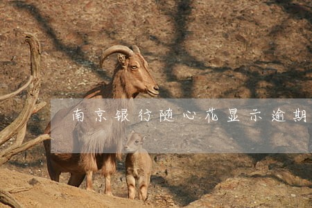 南京银行随心花显示逾期还款 南京银行随心花显示逾期还款