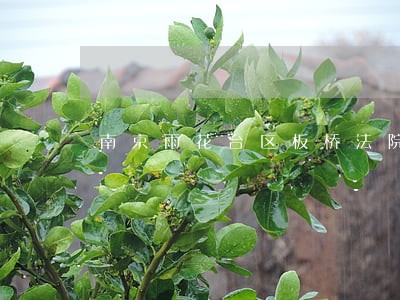 南京雨花台区板桥法院胡正义 南京雨花台区板桥法院胡正义