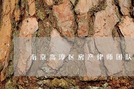 南京高淳区房产律师团队 南京高淳区房产律师团队