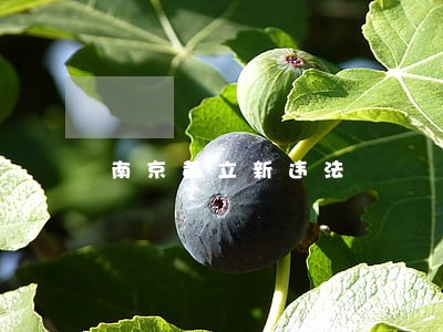 南京黄立新违法