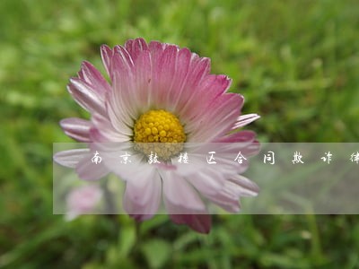 南京鼓楼区合同欺诈律师热线