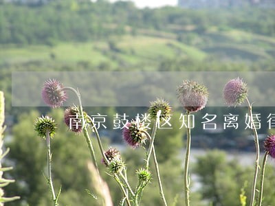 南京鼓楼区知名离婚律师 南京鼓楼区知名离婚律师