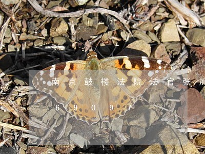 南京鼓楼法院法官张旭/2023031569097 南京鼓楼法院法官张旭/2023031569097