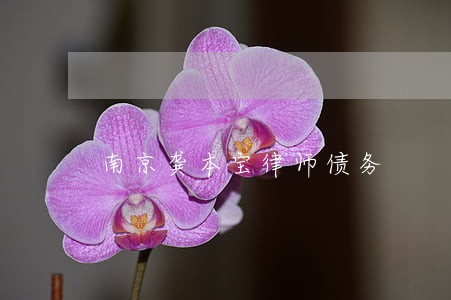 南京龚本宝律师债务 南京龚本宝律师债务