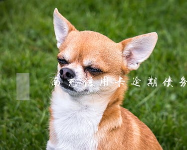南充信用卡逾期债务优化怎么收费 南充信用卡逾期债务优化怎么收费