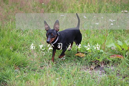 南充公司法律咨询 南充公司法律咨询