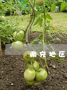 南充地区专做离婚后财产分割律师 南充地区专做离婚后财产分割律师