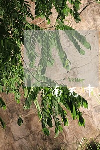 南充市嘉陵区离婚律师 南充市嘉陵区离婚律师