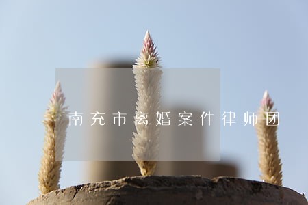 南充市离婚案件律师团 南充市离婚案件律师团