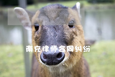 南充律师合同纠纷