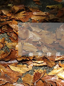 南充律师咨询怎么收费 南充律师咨询怎么收费