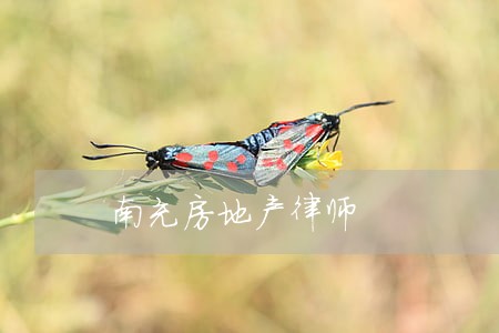 南充房地产律师 南充房地产律师